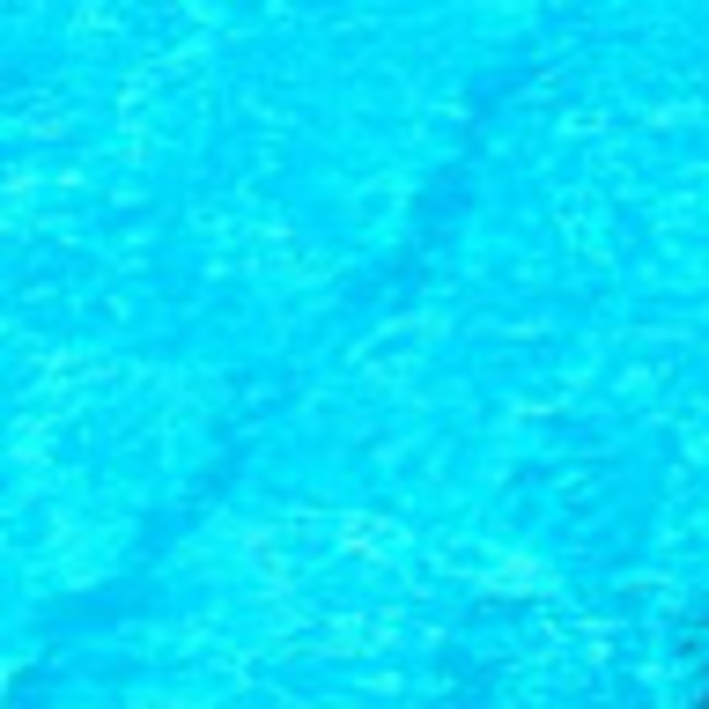 Meet your Posher, Maggie